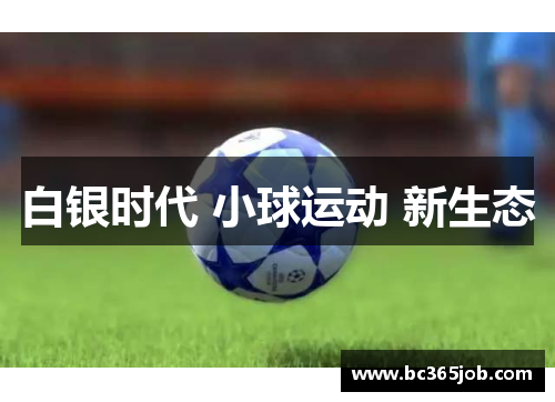 白银时代 小球运动 新生态